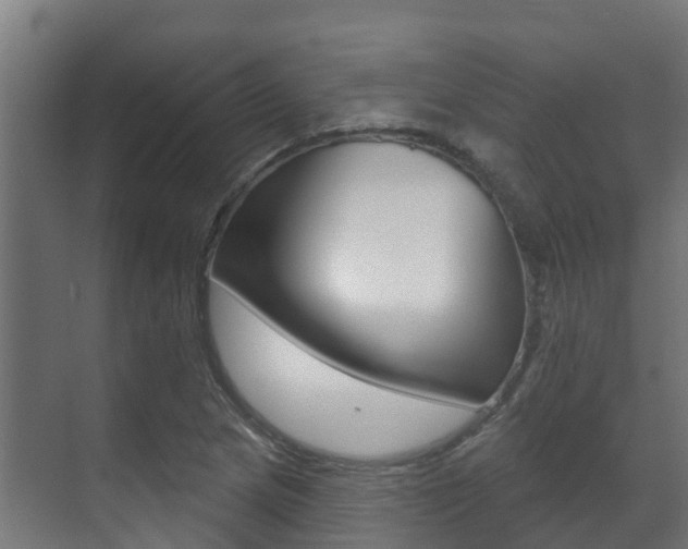 X0000071391217200606230931