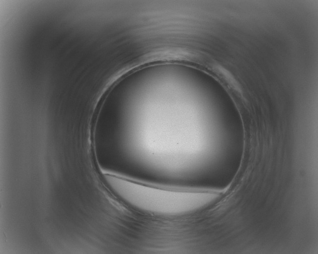X0000071391226200606230931