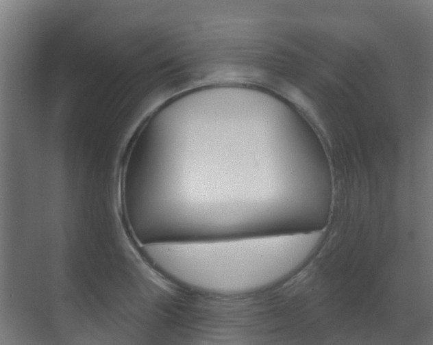 X0000071391227200606230931
