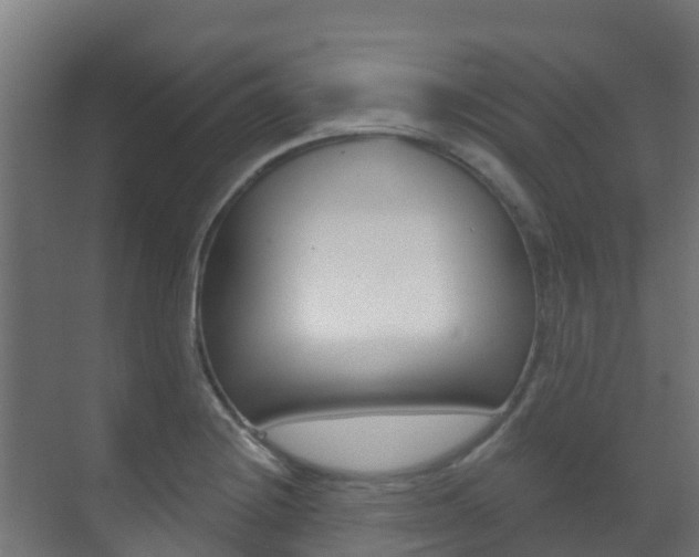 X0000071391228200606230931