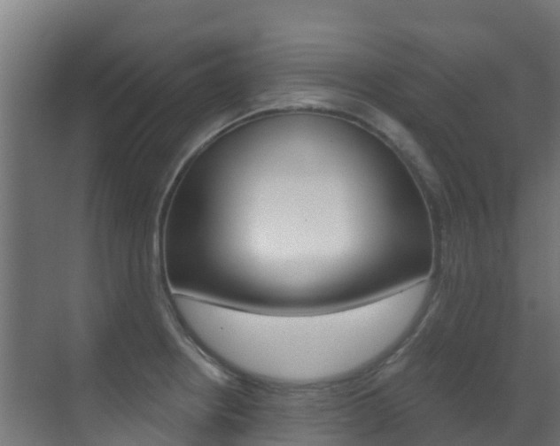 X0000071391234200606230931