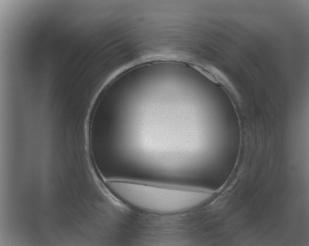 X0000071391238200606230931