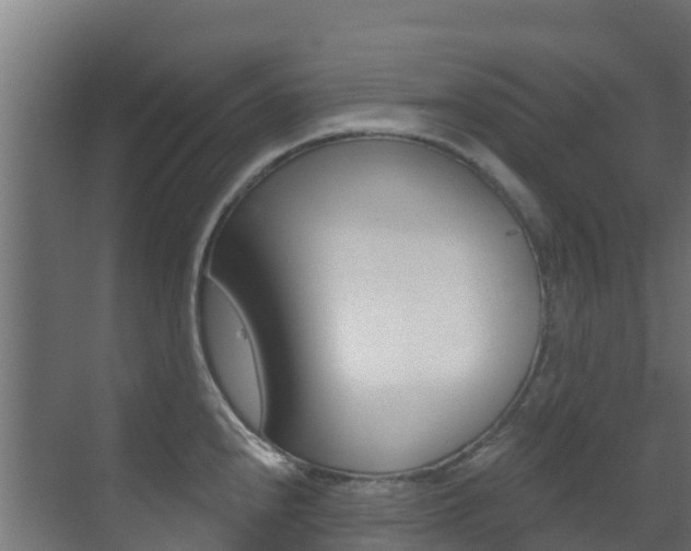X0000071391240200606230931