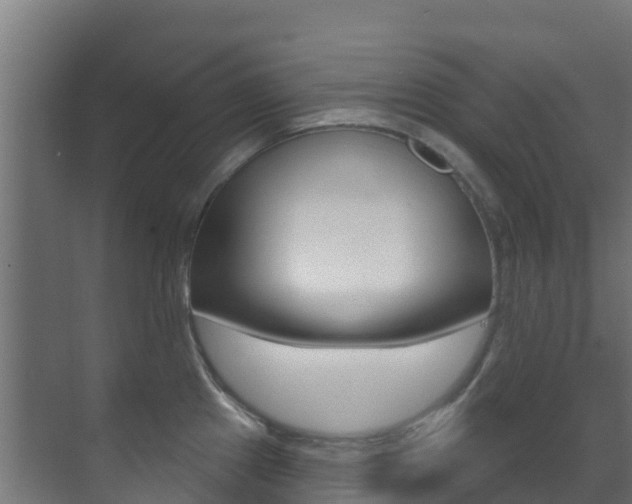 X0000071391241200606230931