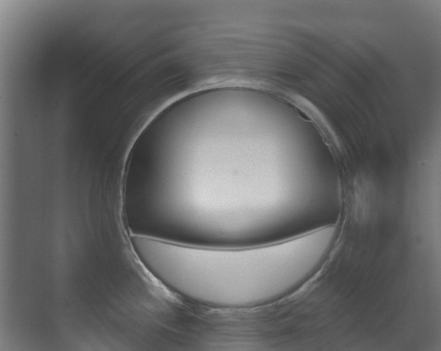 X0000071391244200606230931
