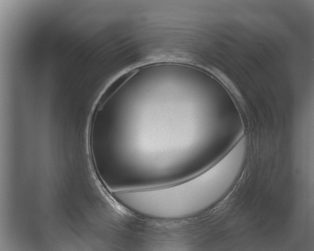X0000071391246200606230931