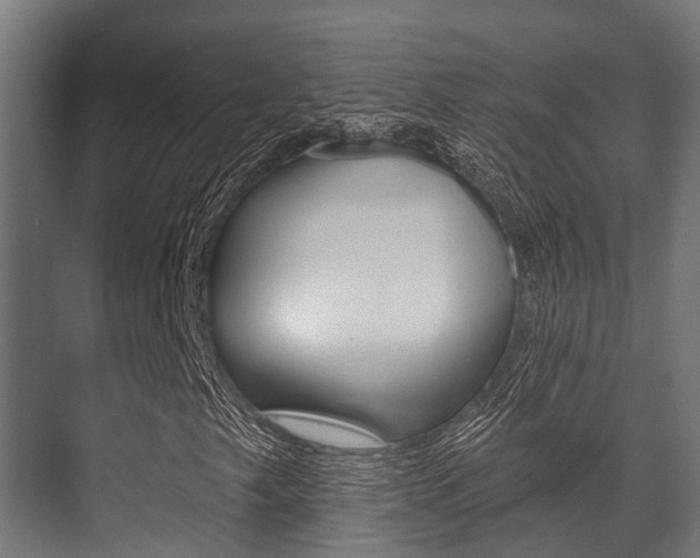 X0000071391249200606230931