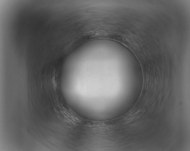 X0000071391250200606230931