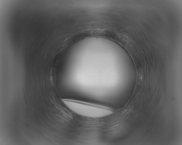 X0000071391252200606230931
