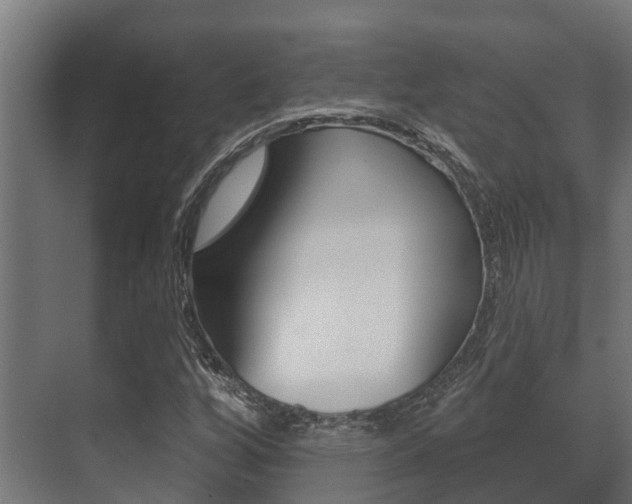 X0000071391256200606230931