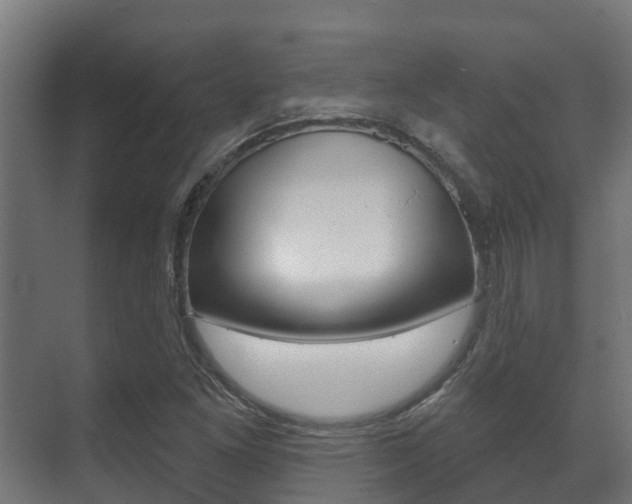 X0000071391261200606230930