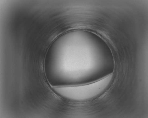 X0000071391273200606230930