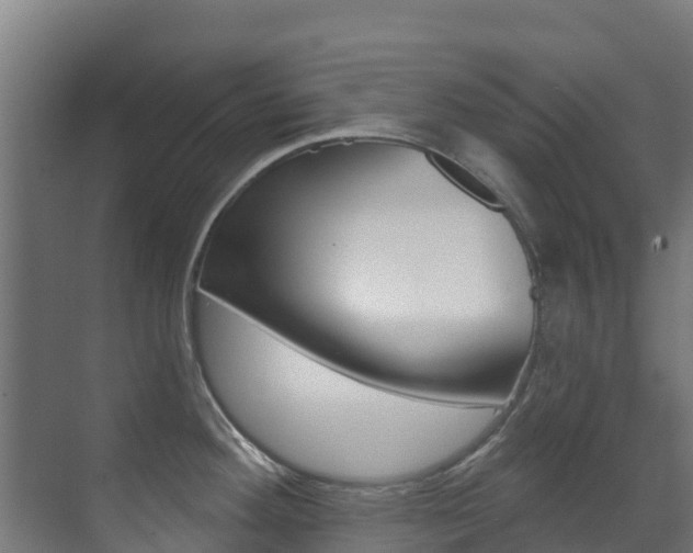 X0000071391292200606230930