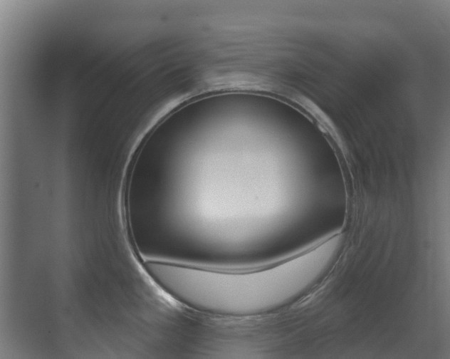 X0000071391293200606230930