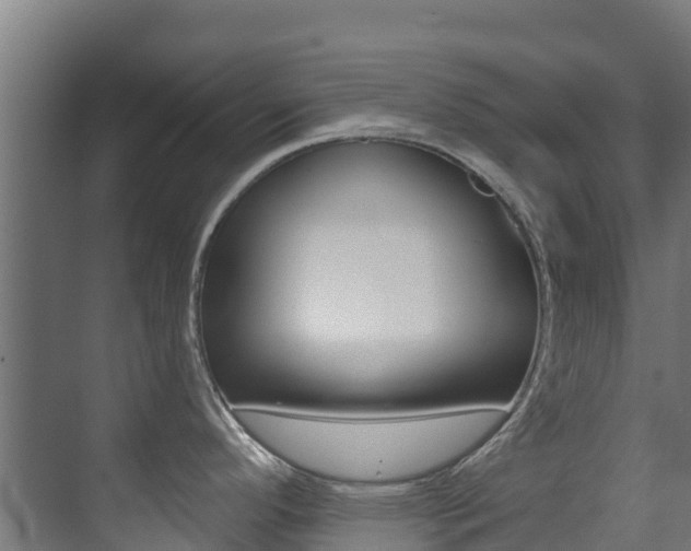 X0000071391296200606230930
