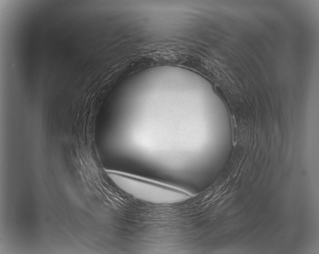 X0000071391297200606230929
