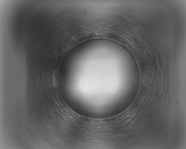 X0000071391298200606230929
