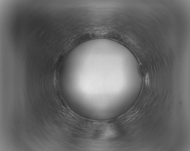 X0000071391299200606230929