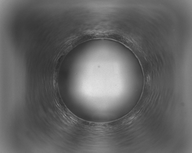 X0000071391300200606230929