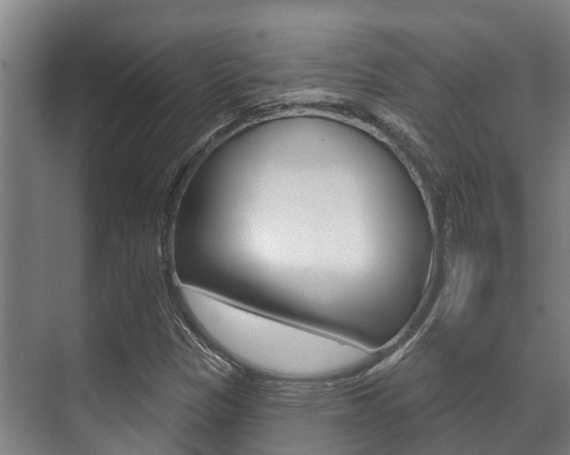 X0000071391305200606230929