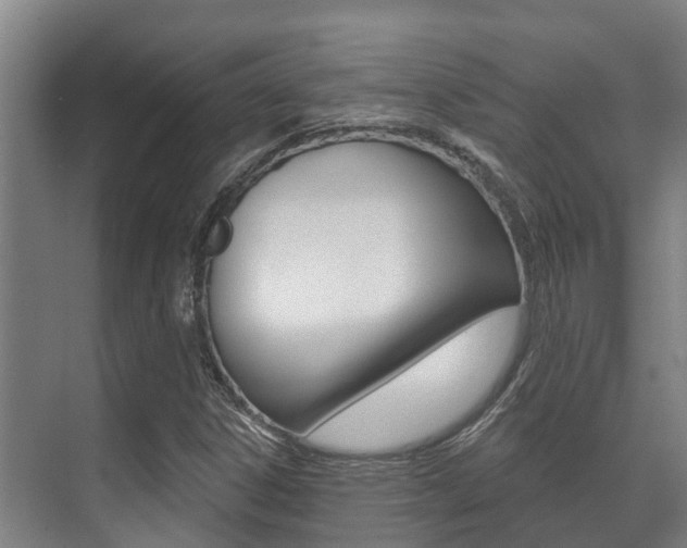 X0000071391306200606230929