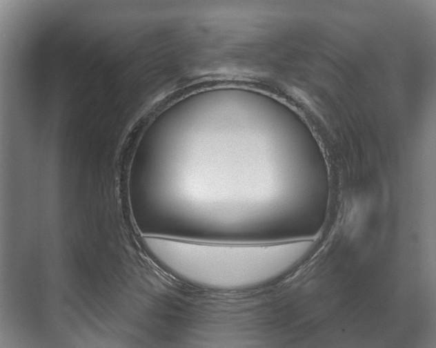 X0000071391307200606230929