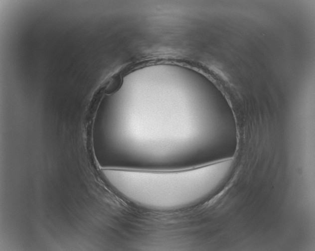 X0000071391309200606230929