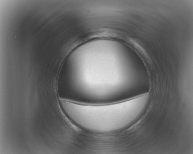 X0000071391329200606230930