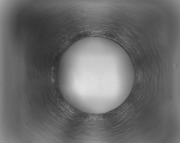 X0000071391346200606230929