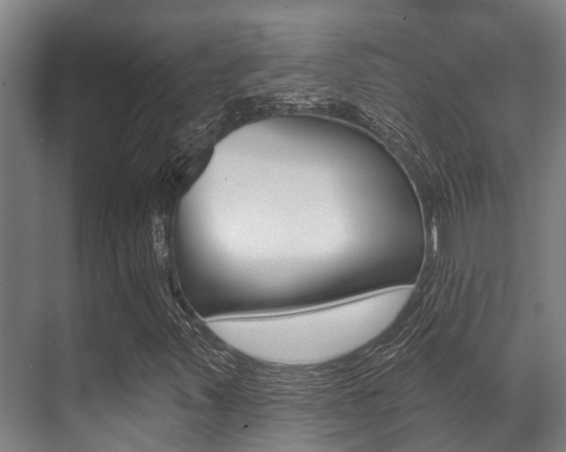 X0000071391347200606230929