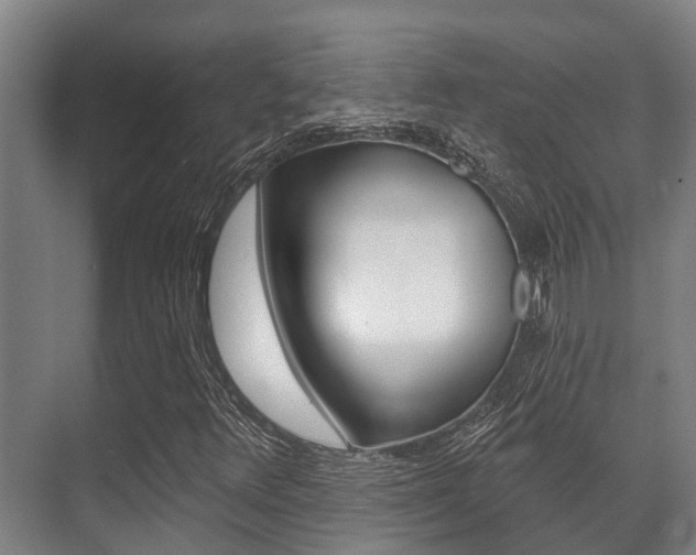 X0000071391348200606230929