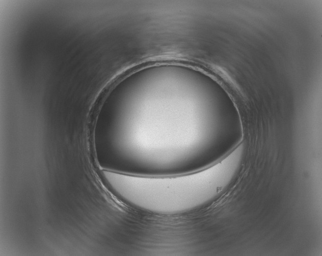 X0000071391356200606230929