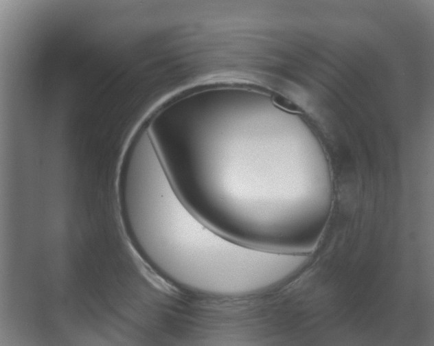 X0000071391372200606230929
