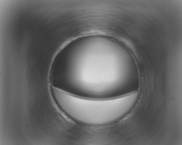 X0000071391373200606230929