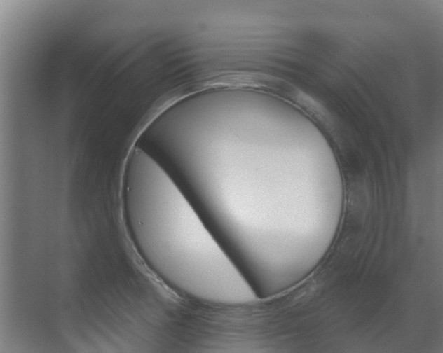 X0000071391378200606230928
