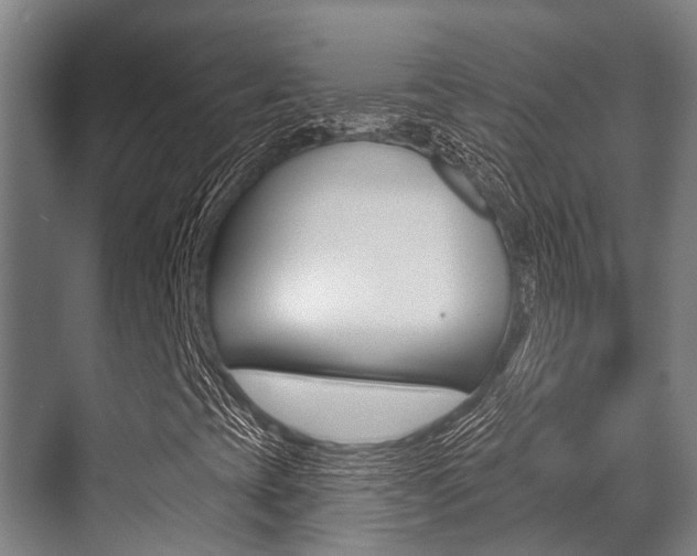 X0000071391393200606230927