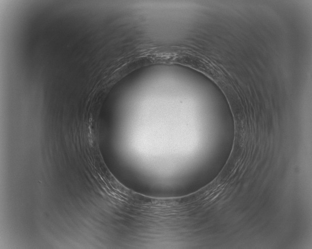 X0000071391394200606230927