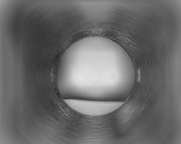 X0000071391395200606230927