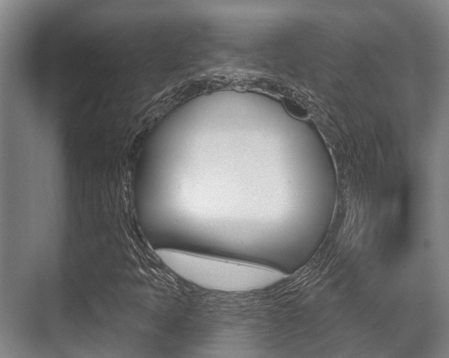 X0000071391397200606230928