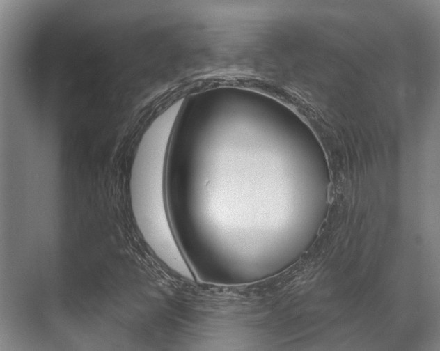 X0000071391398200606230928