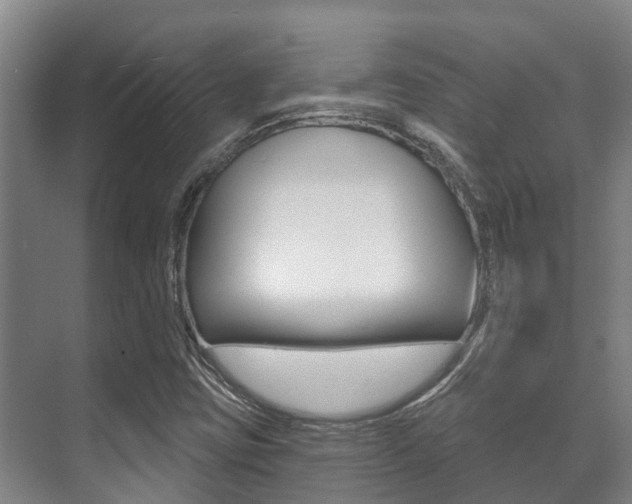 X0000071391403200606230928