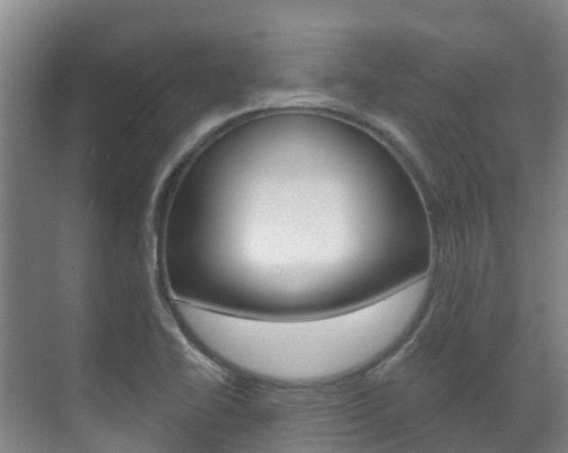 X0000071391414200606230928