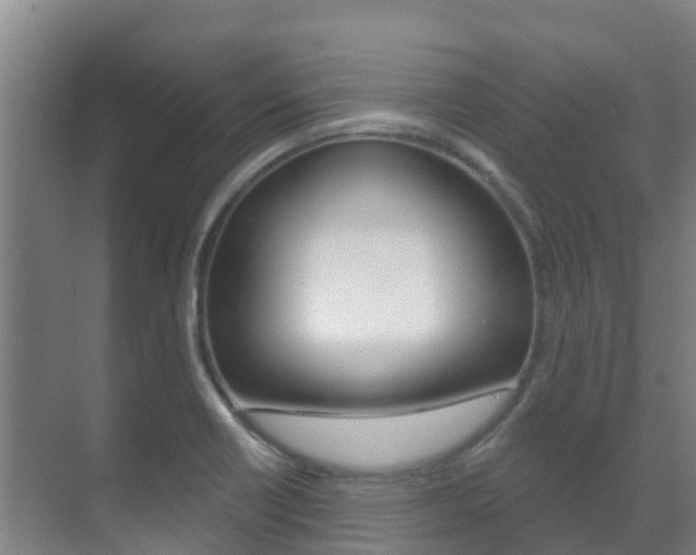 X0000071391418200606230928