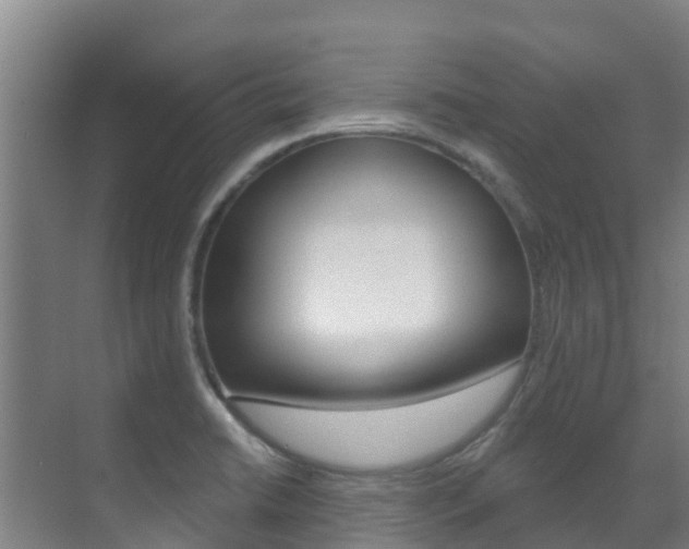 X0000071391422200606230928