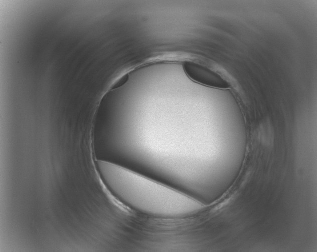 X0000071391425200606230928