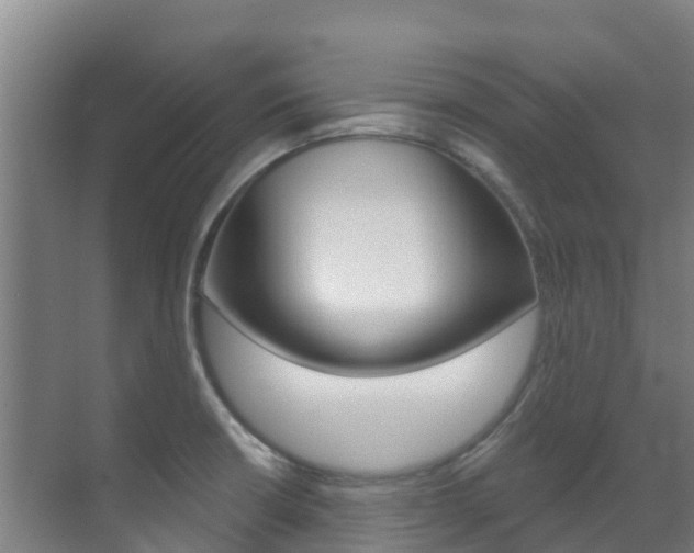 X0000071391426200606230928