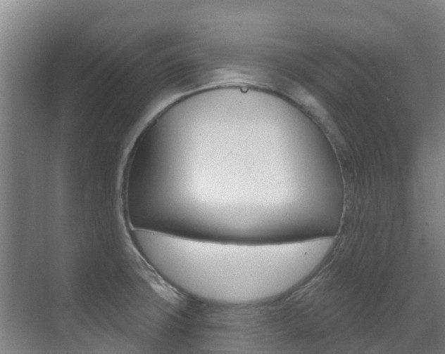 X0000071391427200606230928