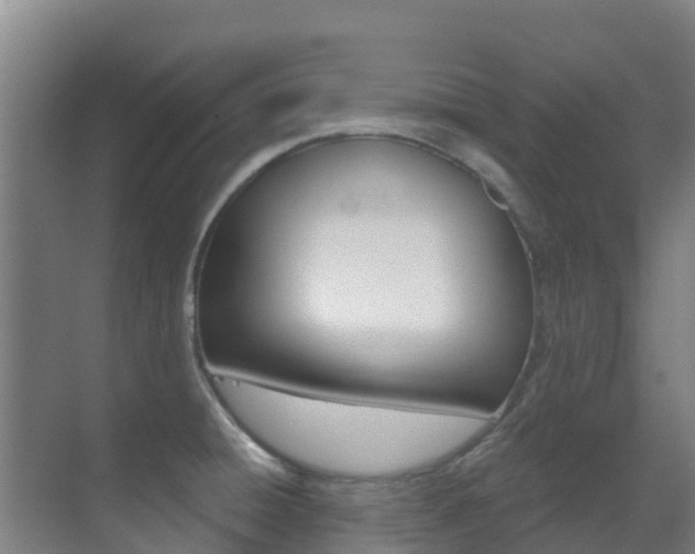 X0000071391428200606230928