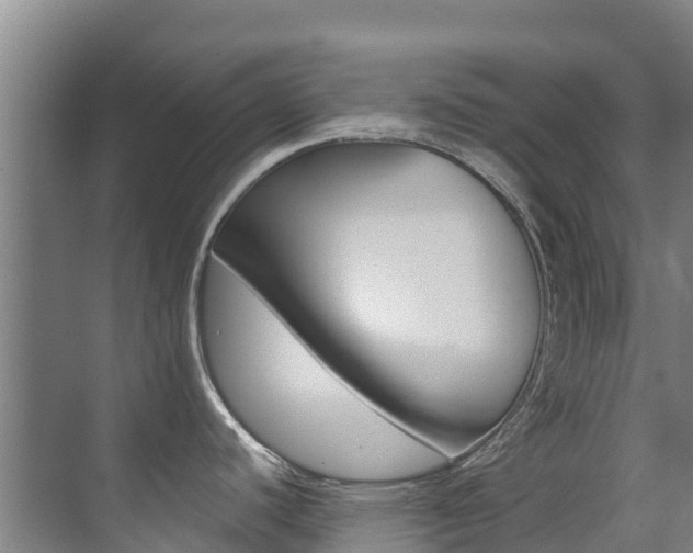 X0000071391440200606230928