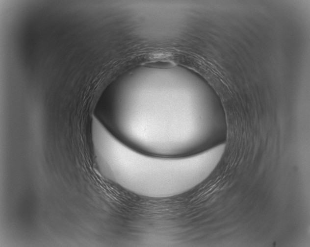 X0000071391441200606230927